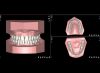 Planificación 3D con NemoCast