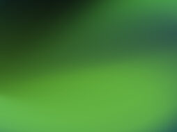 Banner_fondo (5)