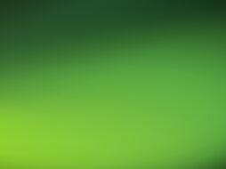 Banner_fondo